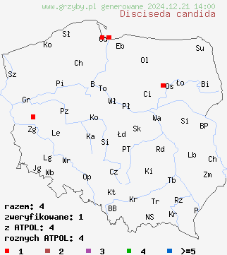 znaleziska Disciseda candida (przewrotka łysa) na terenie Polski