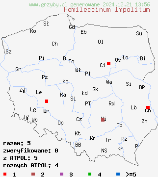 znaleziska Hemileccinum impolitum (płowiec jodoformowy) na terenie Polski