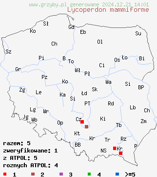 znaleziska Lycoperdon mammiforme (purchawka łatkowata) na terenie Polski