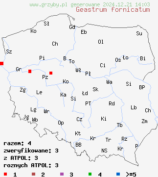 znaleziska Geastrum fornicatum (gwiazdosz wzniesiony) na terenie Polski