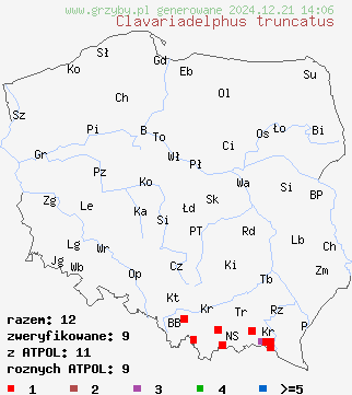 znaleziska Clavariadelphus truncatus (buławka obcięta) na terenie Polski