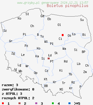 znaleziska Boletus pinophilus (borowik sosnowy) na terenie Polski