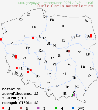 znaleziska Auricularia mesenterica (uszak skórnikowaty) na terenie Polski