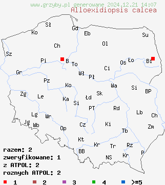 znaleziska Alloexidiopsis calcea (łojówka wapienna) na terenie Polski