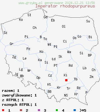 znaleziska Imperator rhodopurpureus (borowik rudopurpurowy) na terenie Polski