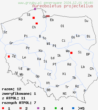 znaleziska Aureoboletus projectellus (złotoborowik wysmukły) na terenie Polski