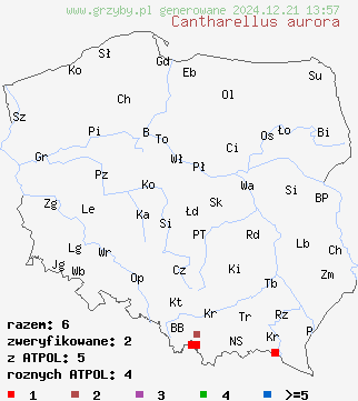 znaleziska Cantharellus aurora (pieprznik żyłkowany) na terenie Polski