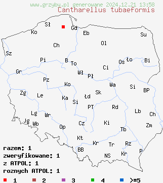 znaleziska Cantharellus tubaeformis (pieprznik trąbkowy) na terenie Polski