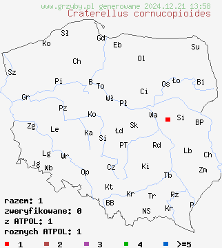 znaleziska Craterellus cornucopioides (lejkowiec dęty) na terenie Polski