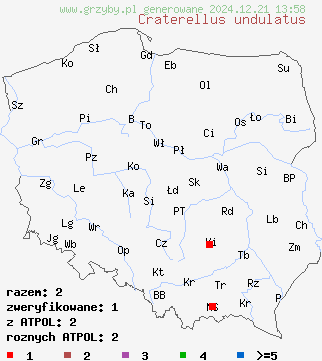 znaleziska Craterellus undulatus (lejkowniczek pełnotrzonowy) na terenie Polski