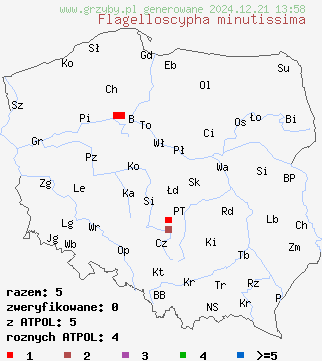 znaleziska Flagelloscypha minutissima (włosóweczka malutka) na terenie Polski