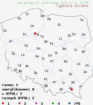 znaleziska Typhula micans (pałecznica fioletowawa) na terenie Polski