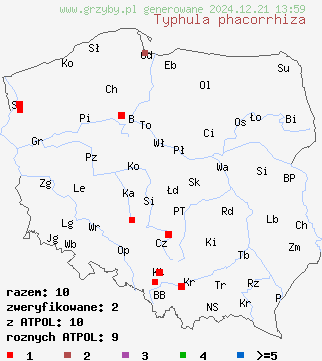 znaleziska Typhula phacorrhiza (pałecznica grubonasadowa) na terenie Polski