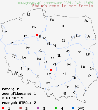 znaleziska Pseudotremella moriformis (trzęsak morwowaty) na terenie Polski