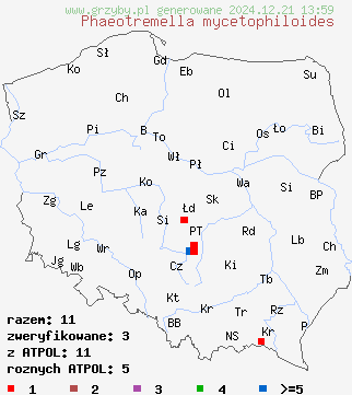 znaleziska Phaeotremella mycetophiloides (trzęsaka grzybolubka) na terenie Polski