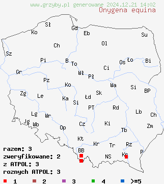 znaleziska Onygena equina na terenie Polski