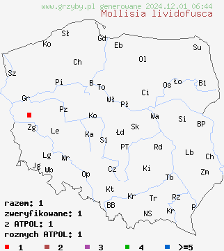 znaleziska Mollisia lividofusca na terenie Polski