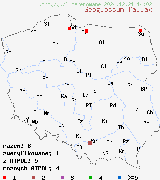 znaleziska Geoglossum fallax (ziemioziorek jasnoparafizowy) na terenie Polski