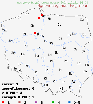 znaleziska Hymenoscyphus fagineus (pucharek bukowy) na terenie Polski