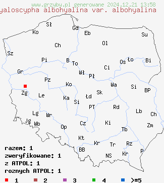 znaleziska Hyaloscypha albohyalina var. albohyalina na terenie Polski