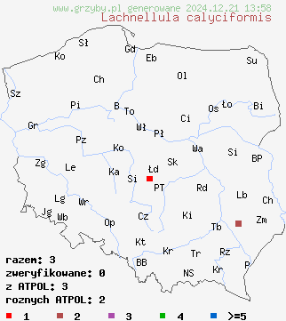 znaleziska Lachnellula calyciformis na terenie Polski