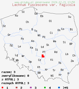 znaleziska Lachnum fuscescens var. fagicola na terenie Polski