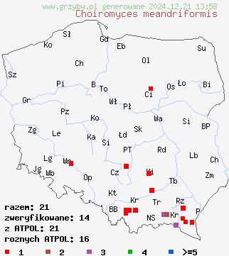 znaleziska Choiromyces meandriformis (piestrak jadalny) na terenie Polski