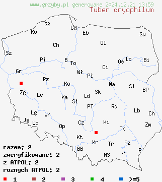 znaleziska Tuber dryophilum (trufla dębowa) na terenie Polski