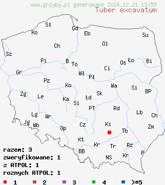 znaleziska Tuber excavatum (trufla wydrążona) na terenie Polski