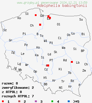 znaleziska Adelphella babingtonii na terenie Polski