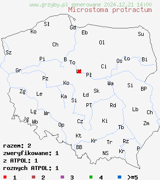 znaleziska Microstoma protractum (czareczka długotrzonkowa) na terenie Polski