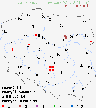 znaleziska Otidea bufonia na terenie Polski