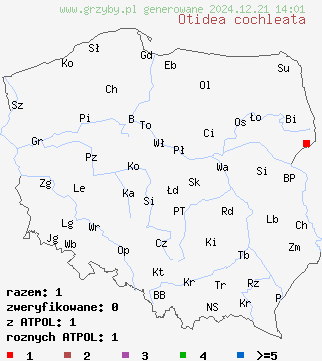 znaleziska Otidea cochleata (uchówka ślimakowata) na terenie Polski