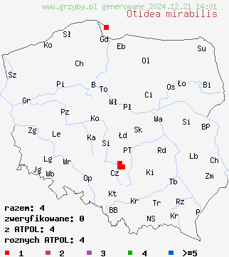 znaleziska Otidea mirabilis na terenie Polski