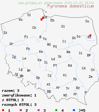 znaleziska Pyronema domesticum na terenie Polski