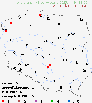 znaleziska Tarzetta catinus na terenie Polski