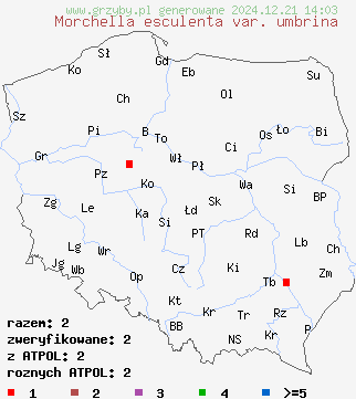 znaleziska Morchella esculenta var. umbrina (smardz jadalny odmiana ciemna) na terenie Polski