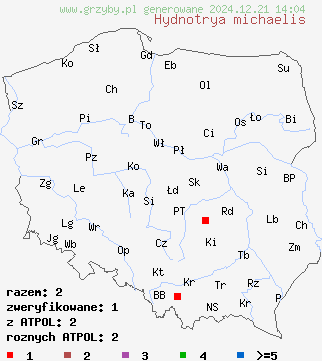 znaleziska Hydnotrya michaelis (truflica Michaela) na terenie Polski