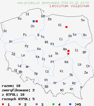 znaleziska Leccinum vulpinum (koźlarz sosnowy) na terenie Polski