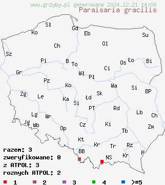 znaleziska Paraisaria gracilis na terenie Polski