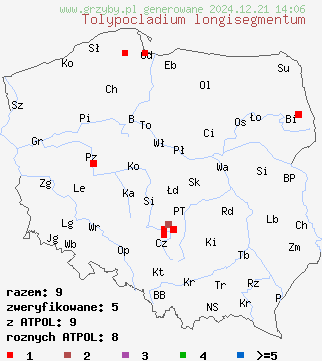 znaleziska Tolypocladium longisegmentum na terenie Polski