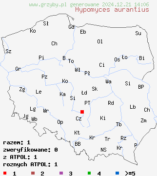 znaleziska Hypomyces aurantius (podgrzybnica pomarańczowa) na terenie Polski