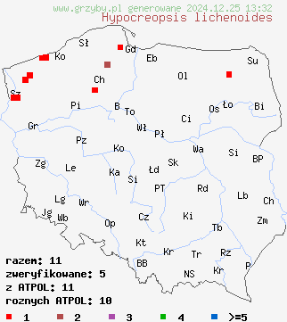 znaleziska Hypocreopsis lichenoides na terenie Polski