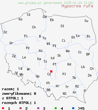 znaleziska Hypocrea rufa na terenie Polski