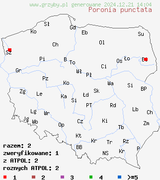 znaleziska Poronia punctata na terenie Polski