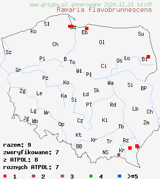 znaleziska Ramaria flavobrunnescens na terenie Polski