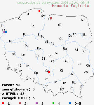 znaleziska Ramaria fagicola na terenie Polski