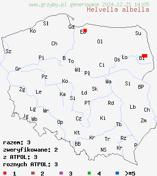 znaleziska Helvella albella na terenie Polski