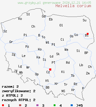 znaleziska Helvella corium na terenie Polski