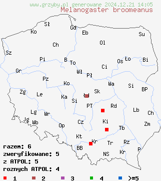 znaleziska Melanogaster broomeanus (czarnobrzuszek drobnozarodnikowy) na terenie Polski